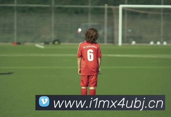 星空体育app平台官网APP 封面图